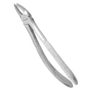 Wholesale stainless steel handle: Dental Extraction Forcep
