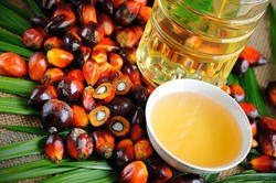 Wholesale crude oil: Refined and Crude Palm Oil