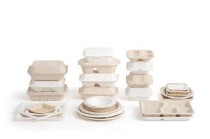 Wholesale disposable tableware: Compostable Food Packaging