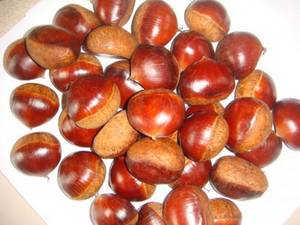 Wholesale fresh chestnut: Chestnuts