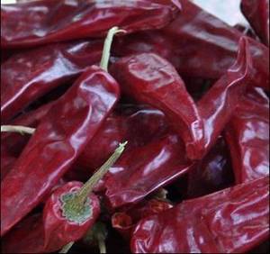 Wholesale Fresh Peppers: Dry Chilli