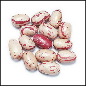 Wholesale white kidney beans: Beans