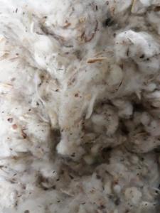 Wholesale Textile Waste: 100% Cotton Lickerin