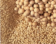 Sell Molecular Sieve  (at competitive price)
