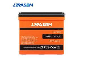 Wholesale lifepo4 12v battery: 12v 60ah LIFEPO4 Battery