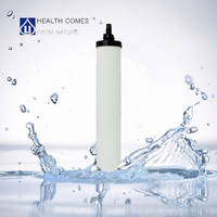 Replacement Ceramic Water Filter