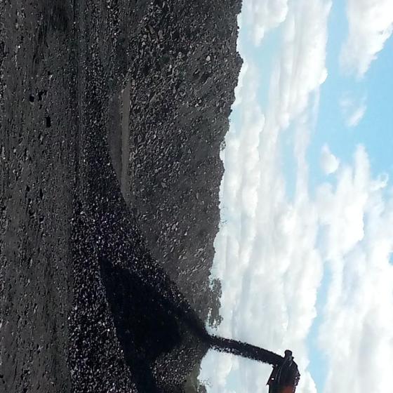 steam coal  and iron ore