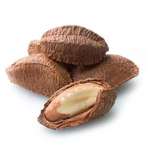Wholesale calcium: NUTS High Quality PERU Brazil NUT