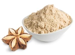 Wholesale extracts: Sancha Inchi Organic Powder Rich in Protein