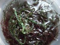 Seaweed Peru / Seaweed Peruvian 3