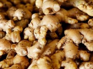 Wholesale Fresh Ginger: Fresh Ginger.