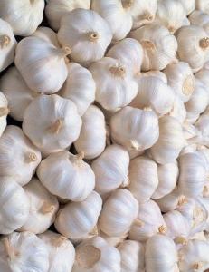 Wholesale Fresh Garlic: Fresh Garlic.