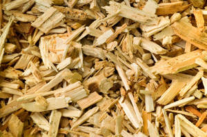 Wholesale pine: Wood Chips From Pine and Oak