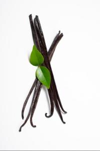 Wholesale Vanilla Beans: Vanilla Planifolia Beans
