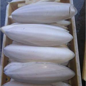 Wholesale prepayment: Dried Cuttlefish Bone Wholesale prepayment: Dried Cuttlefish Bone