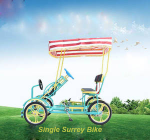 Wholesale tourism business: Single Surrey Bike