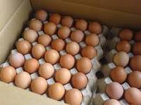 Sell Fresh Table Chicken Eggs ( Brown and White)