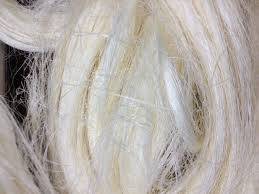 Wholesale ssug sisal: Sisal Fiber UG / SSUG Grade A From Kenya