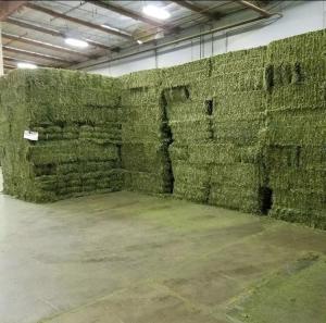 Wholesale Hay: Alfalfa Hay