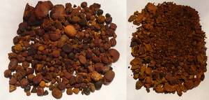 Wholesale natural medicine: Cattle Ox Gallstones, Dried Quality