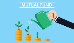 Wholesale loan needed: Business Funding Services
