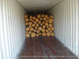 Sell Spruce Logs (Latvia-Lithuania)