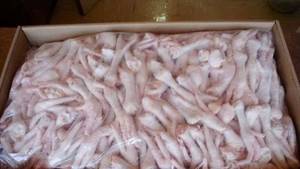 Wholesale frozen grade a: Chicken