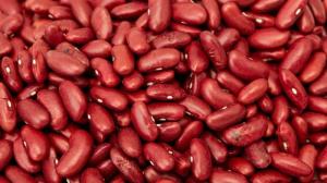Wholesale Kidney Beans: Kidney Beans