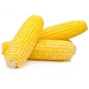 Wholesale dried: High Quality Natural Yellow Dried CORN * NEW PRICE 2020 *