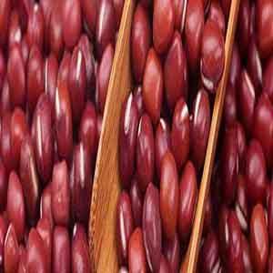 Wholesale bulk muscle protein: Beans