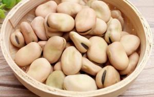 Wholesale dry chili: Broad Bean