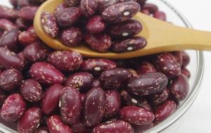 Wholesale canned red kidney bean: Purple Speckled Kidney Beans