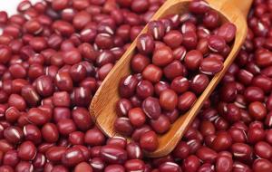 Wholesale cylindrical chains: Ormosia/Red Beans