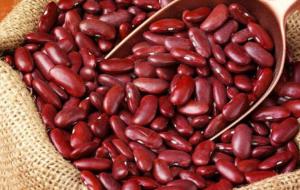 Wholesale white kidney beans: Red Kidney Bean