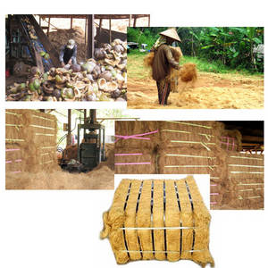 Wholesale plastic fruit packing: Coconut Fiber