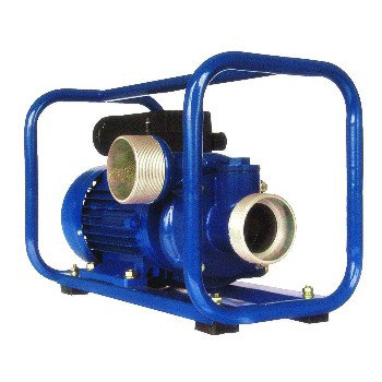 portable water pump
