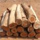 Doussie Logs/ Tali / Azobe / Rosewood / Pine Logs