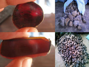 Wholesale natural: Amber Natural Raw