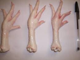 Wholesale canned: Clean Fresh Frozen Chicken Feet and Chicken Paws