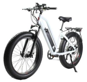 Electric bike cheap wholesale supplier