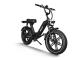 HOT SELLING Himiway Escape Pro 750W Long Range Moped-Style Electric Bike