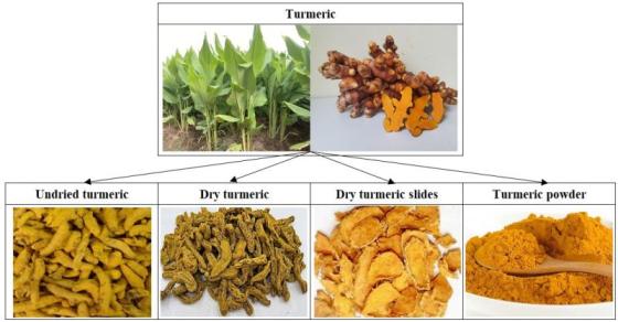 Sell Turmeric Powder appying for health Food, food additive, medicine, cosmetic
