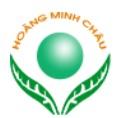 Hoang Minh Chau Company Limited