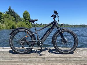 Wholesale brake discs: 2021 Rad Power Bikes RadRover 6 Plus