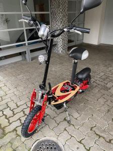 Wholesale Electric Scooters: 1000W Zipper Off Road Electric Scooter