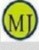 Henan Major Trading Co.,Ltd Company Logo