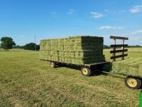 Sell Top Quality Alfafa Hay For Animal feeding