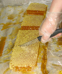 Wholesale refined: Yellow Beeswax Refined