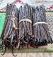 Sell Vanilla Beans from Madagascar