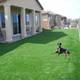 Sell Green Turf for Indoor and Outdoor Use/ Artificial Grass